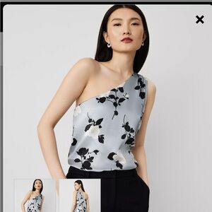 Gray and White Asymmetrical Blouse with Elegant Design